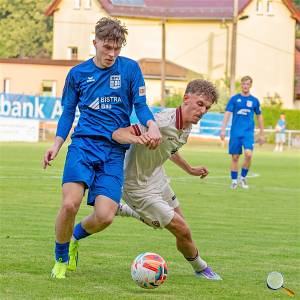 Foto: Bodo Hering / BFV 08